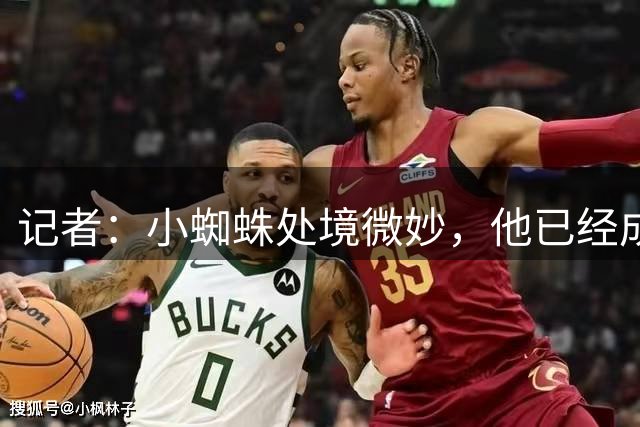 记者：小蜘蛛处境微妙，他已经成马竞球迷最讨厌的四名球员之一